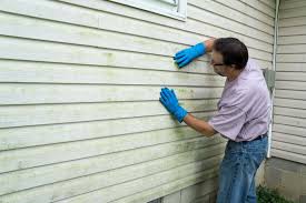 Best Aluminum Siding Installation  in Ramona, CA